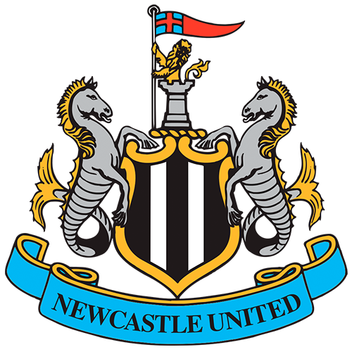 Newcastle United vs Tottenham Prediction: We expect an active game from both teams